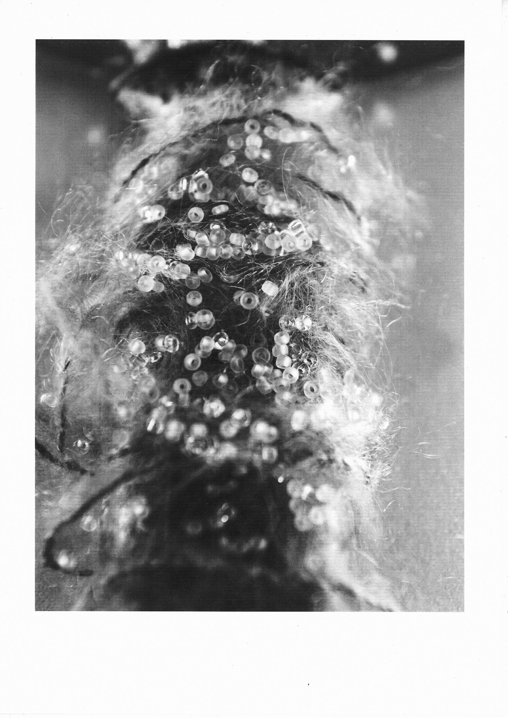Image 27
